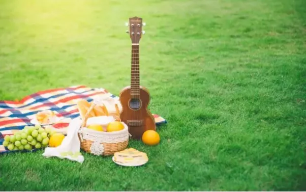 生态农业旅游开发知识与实例_田园农业旅游_农旅融合模式