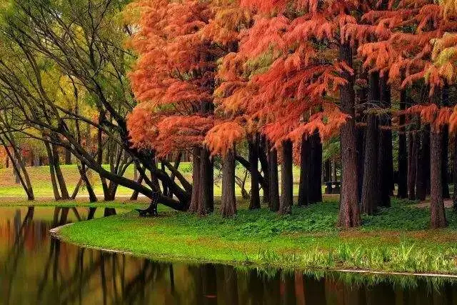 田园农业旅游_生态农业旅游开发知识与实例_农旅融合模式