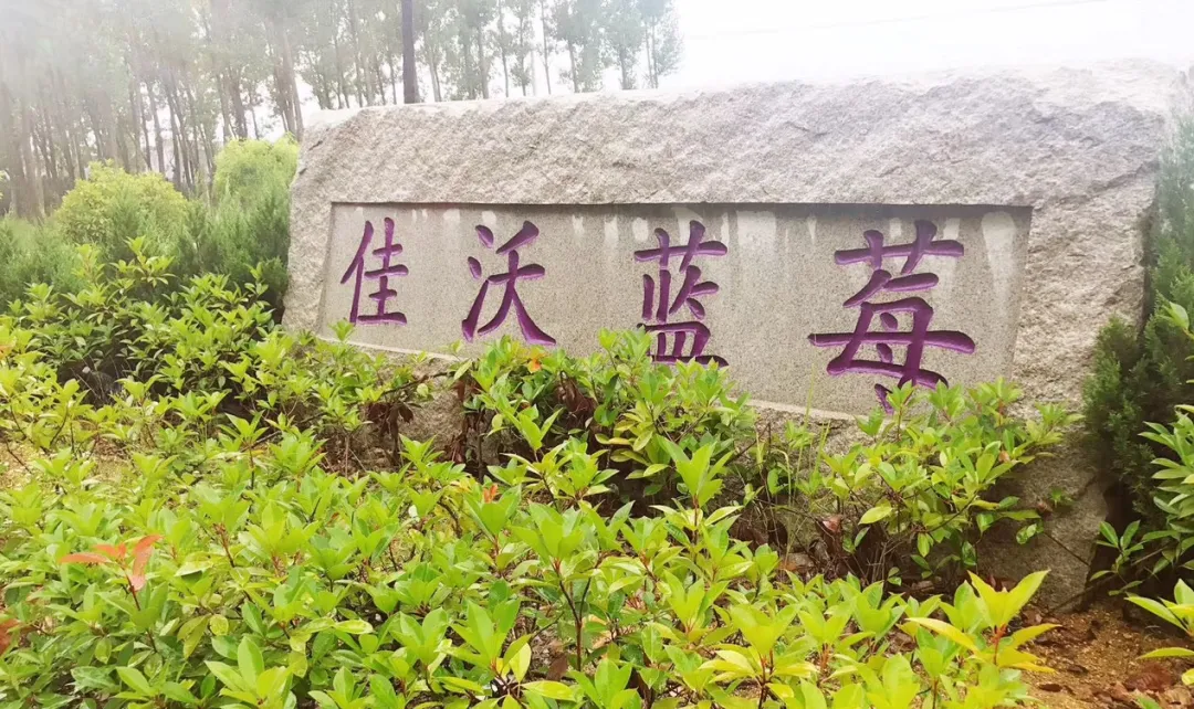 田园农业旅游_生态农业旅游开发知识与实例_农旅融合模式