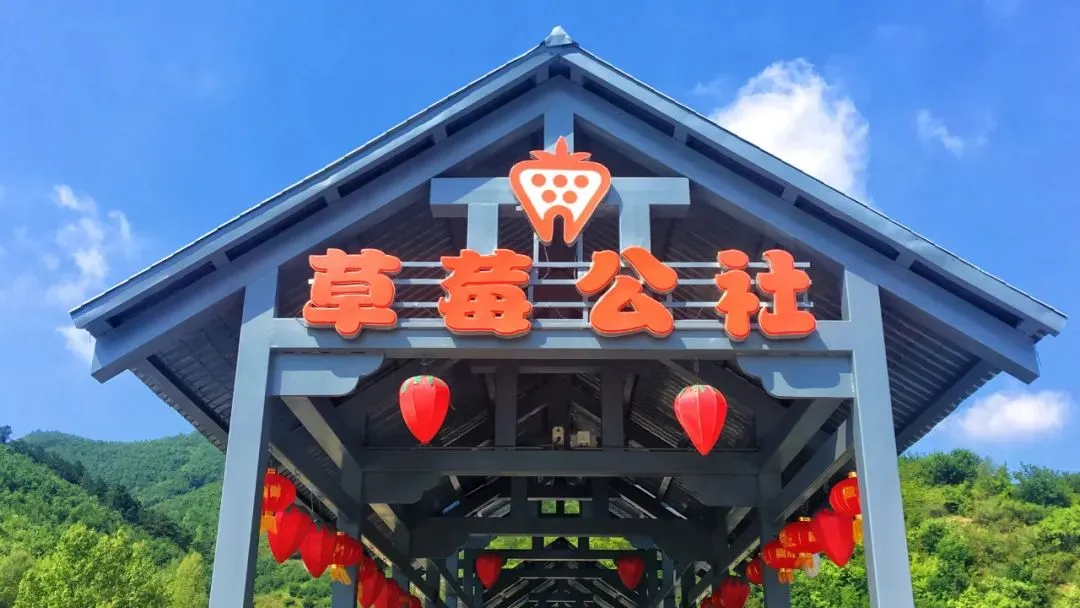 田园农业旅游_农旅融合模式_生态农业旅游开发知识与实例