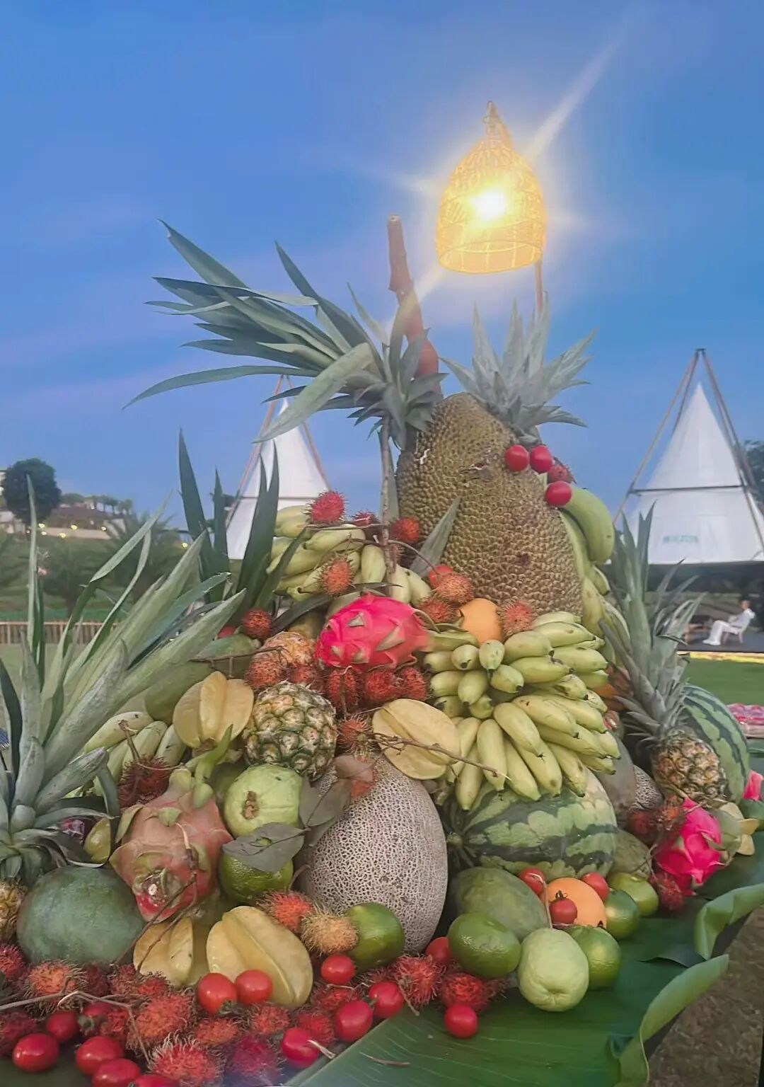 生态农业旅游开发知识与实例_农旅融合模式_田园农业旅游