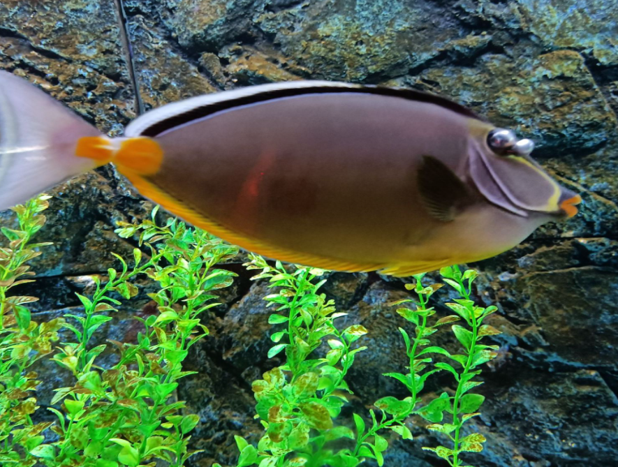 金华万泰海立方海洋公园