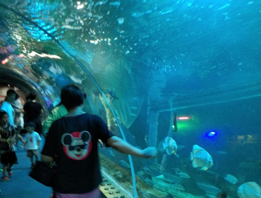 金华万泰海立方海洋公园