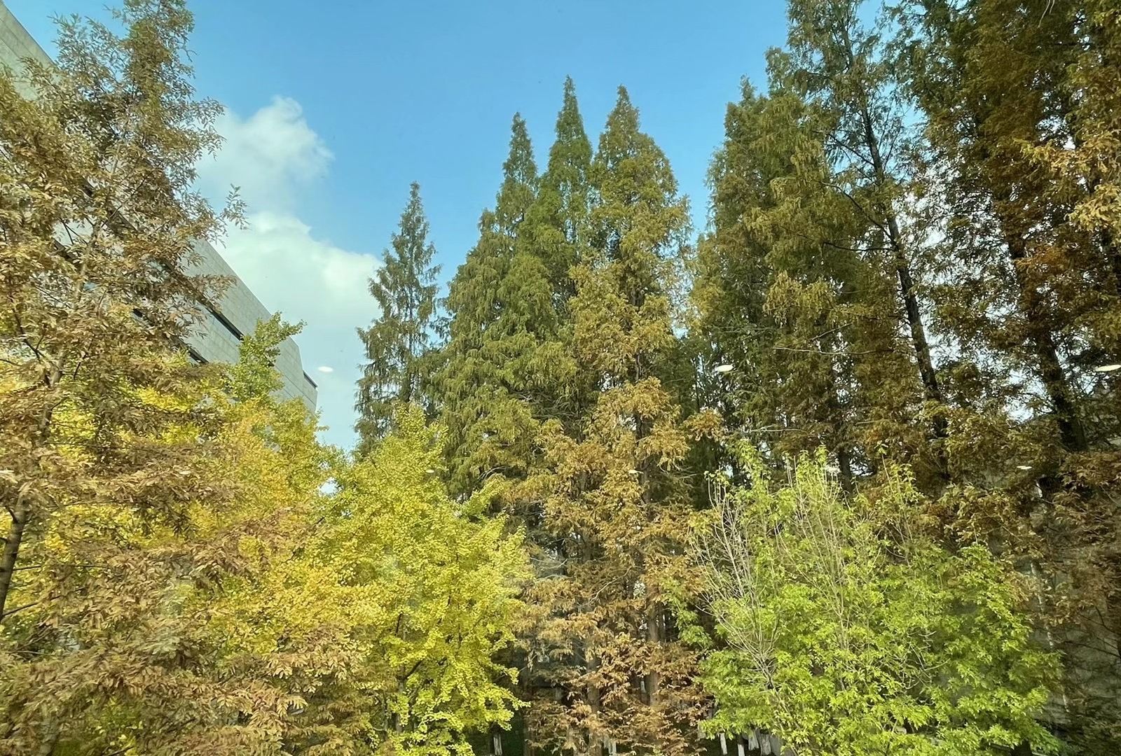 兰溪地下长河景区