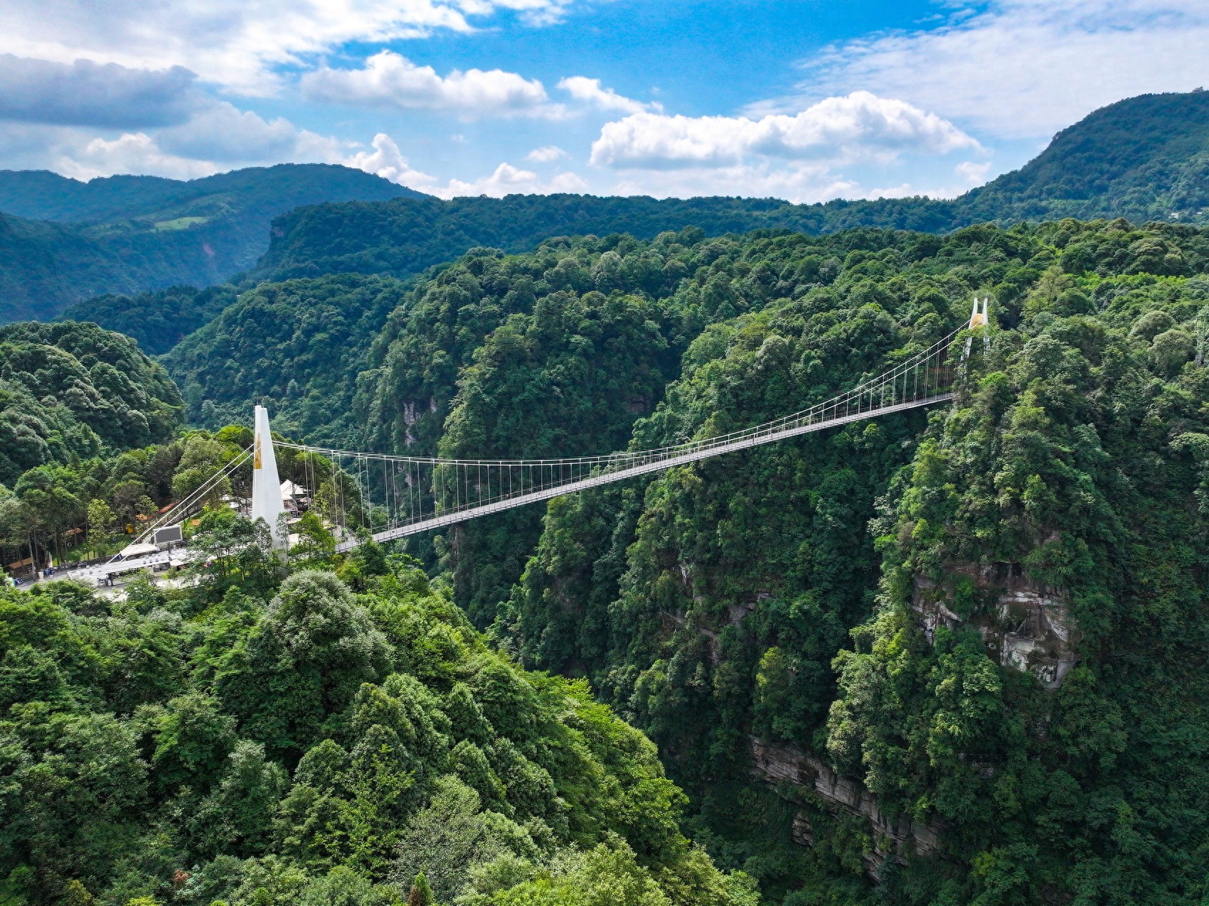 碧峰峡动物互动体验_碧峰峡研学旅游项目_碧峰峡风景区一日游