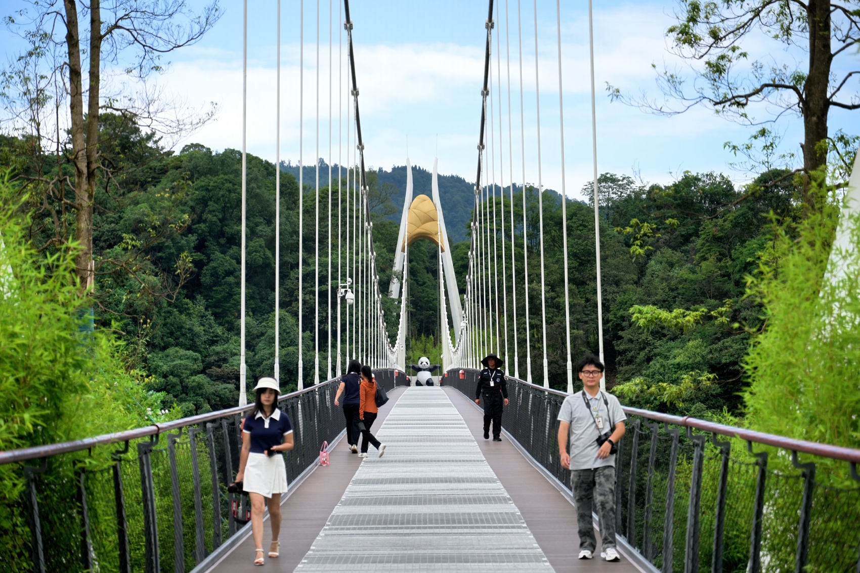 碧峰峡研学旅游项目_碧峰峡风景区一日游_碧峰峡动物互动体验