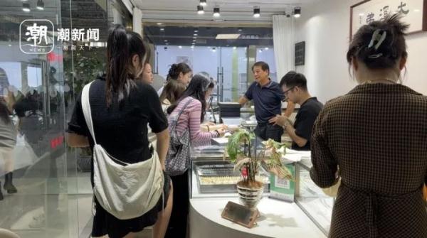 三亚南海珍珠坊多少钱_珍珠价格火爆_珍珠蚌收获季