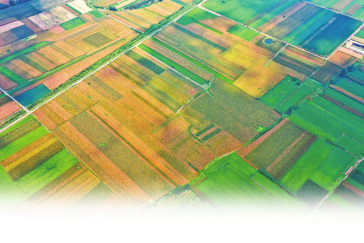 “三秋”生产咋开展