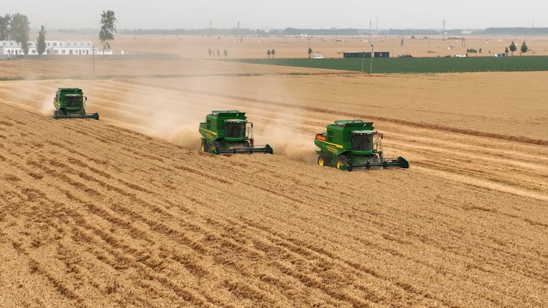 鹤壁三夏工作_鹤壁小麦机收会战_河南秸秆利用