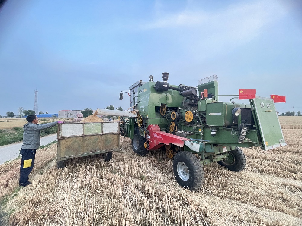 鹤壁三夏工作_鹤壁小麦机收会战_河南秸秆利用