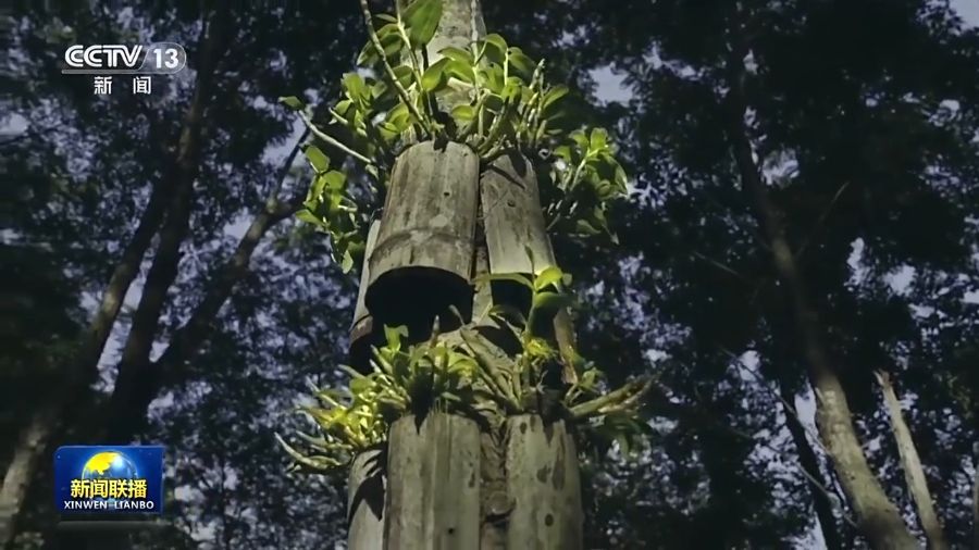 习近平生态文明思想_绿水青山就是金山银山——为什么要建设生态文明_两山理念安吉实践