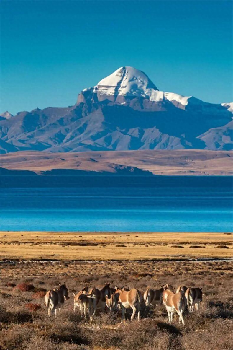 环驾中国自驾游_国内经典自驾路线_昆明周边自驾游