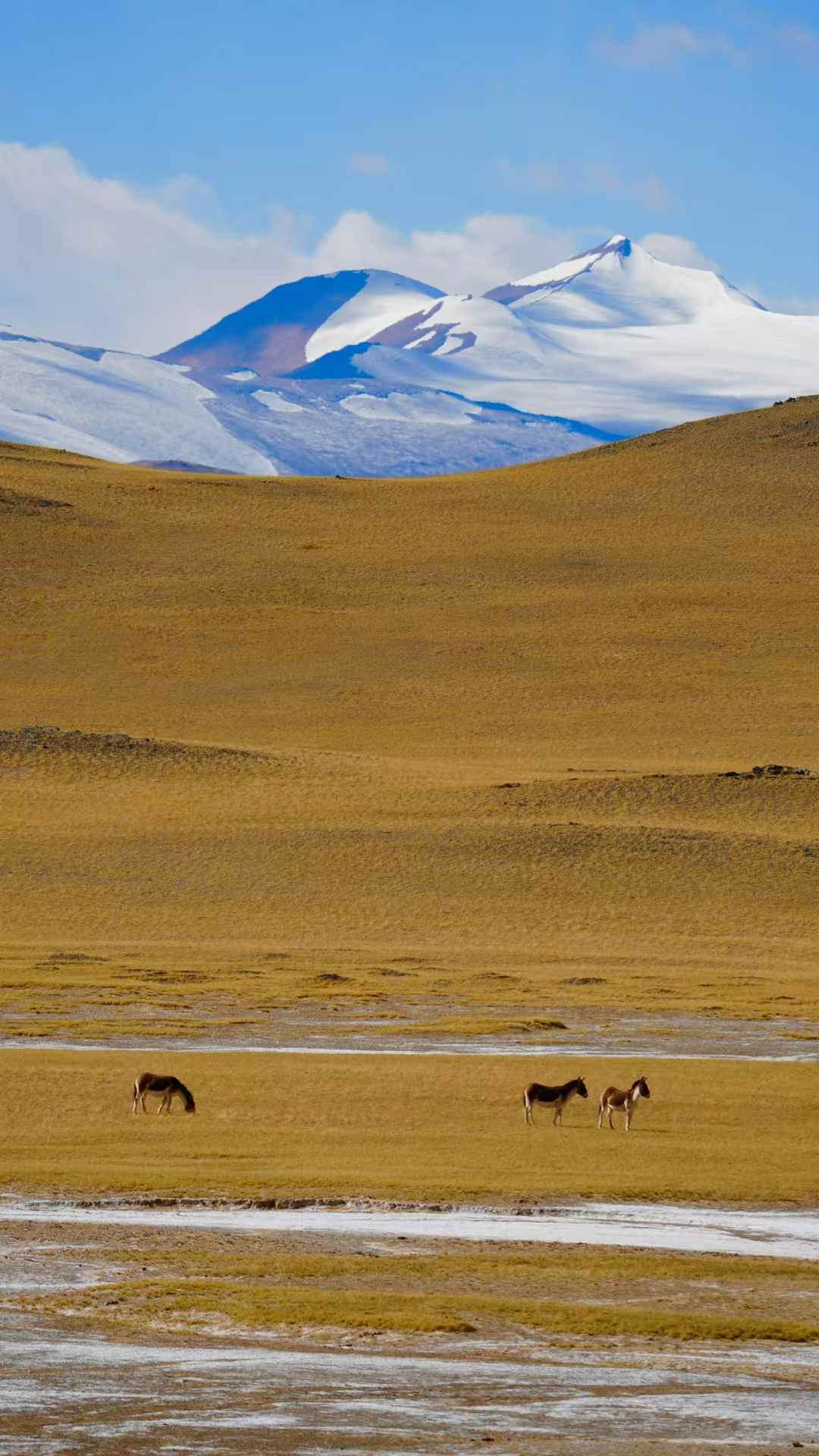 环驾中国自驾游_国内经典自驾路线_昆明周边自驾游