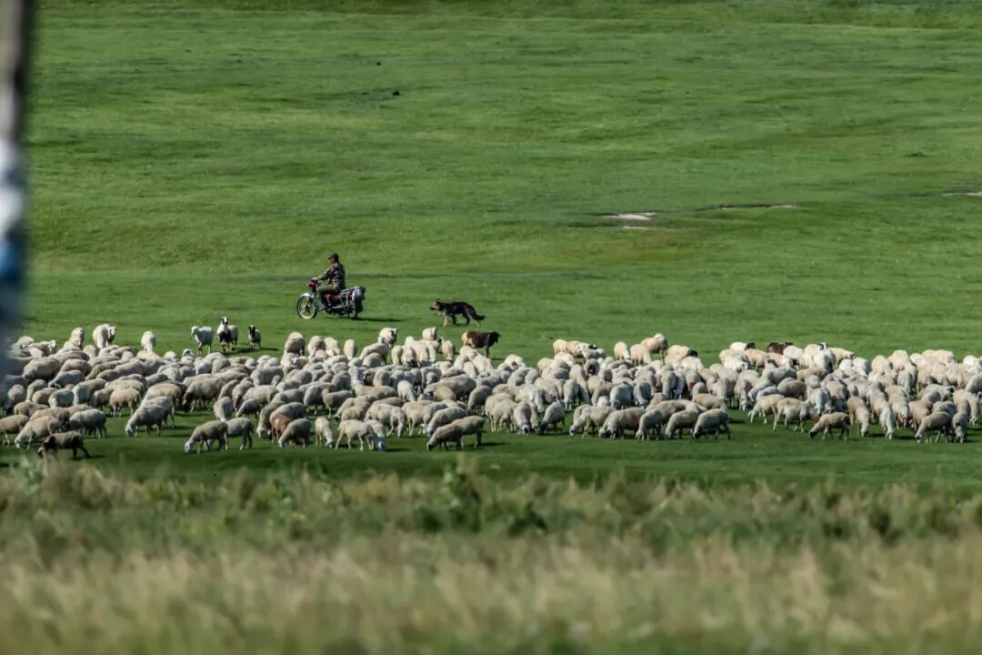 昆明周边自驾游_国内经典自驾路线_环驾中国自驾游