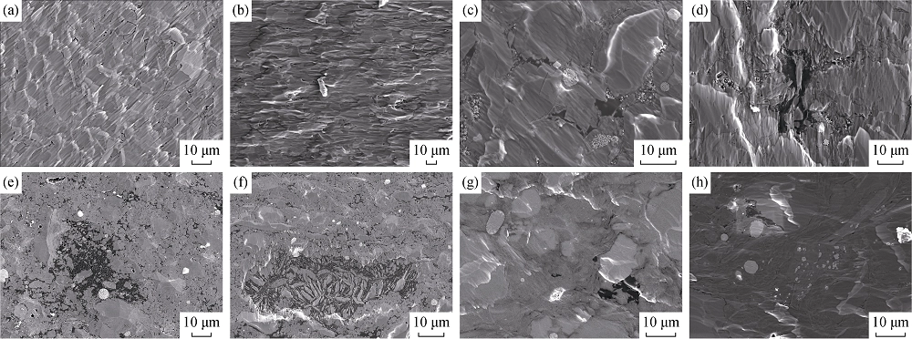 页岩气开发技术_页岩气储层评估方法_美国页岩气产量