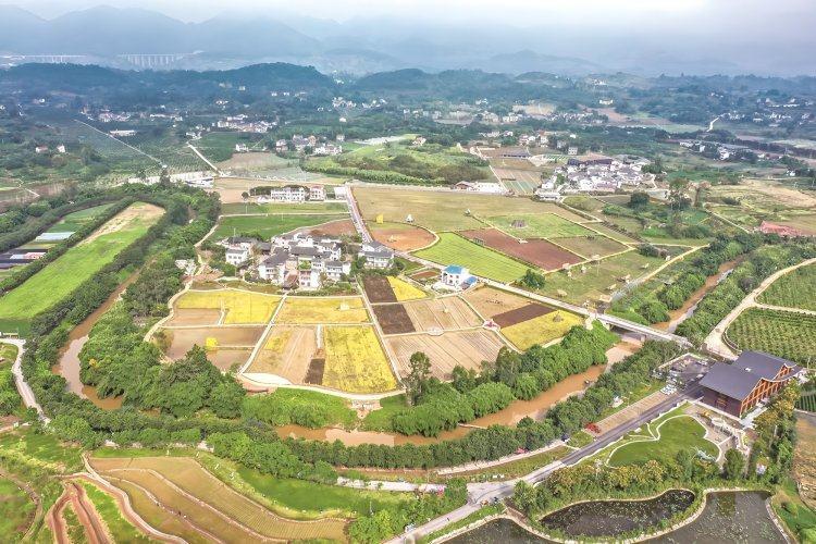 璧山区美丽乡村先行区_璧山生态农业规划_璧山区城乡融合发展涉农区
