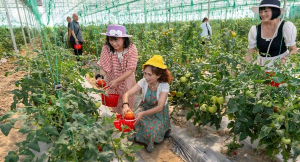 璧山葡萄采摘季_多彩田园乡遇璧山_璧山生态农业规划