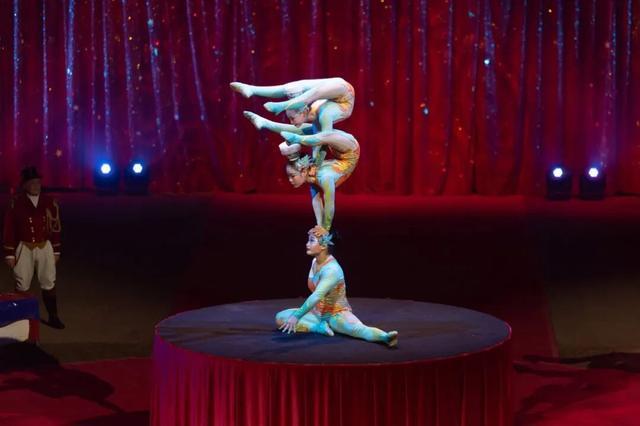 中国杂技金小丑奖视频_遂宁市杂技团 金小丑奖 青少年金奖