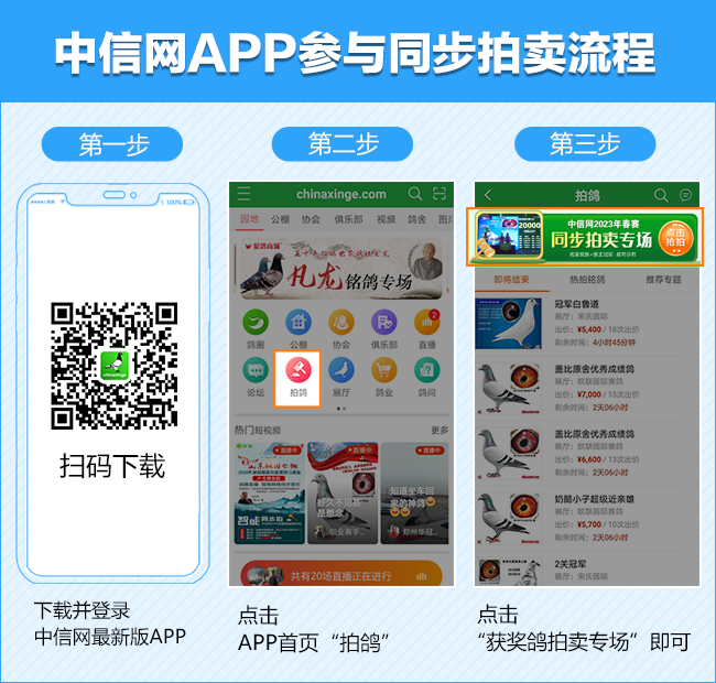 安徽天宇赛鸽中心决赛_安徽天宇赛鸽中心拍卖会_2026江苏如东天宇赛鸽