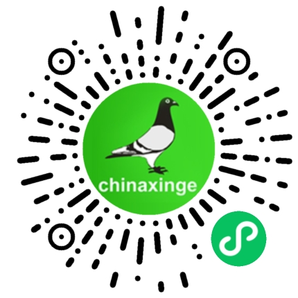 安徽天宇赛鸽中心决赛_2026江苏如东天宇赛鸽_安徽天宇赛鸽中心拍卖会