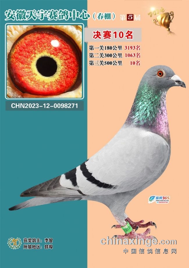 2026江苏如东天宇赛鸽_安徽天宇赛鸽中心决赛_安徽天宇赛鸽中心拍卖会