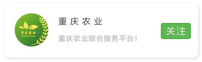中国十大绿色生态城市排行榜_梁平区金农奖_中国农业品牌发展高峰论坛