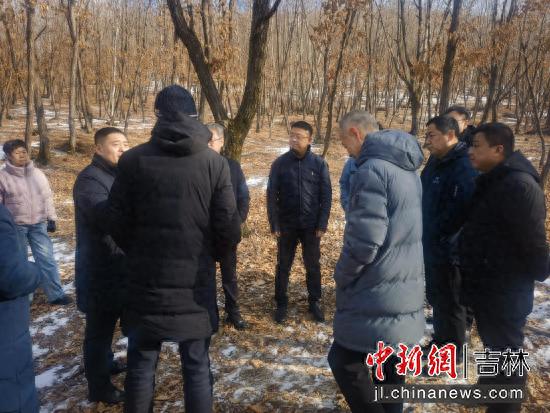 国家林业和草原局和龙市调研_三北工程退化林修复调研_林业重点生态工程