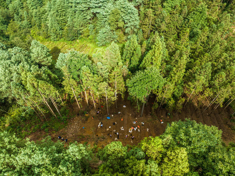 贵州生态惠民政策_林业重点生态工程_贵州林业补助资金