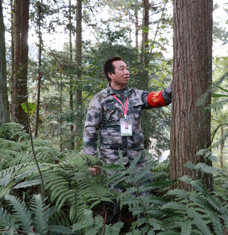 贵州生态惠民政策_贵州林业补助资金_林业重点生态工程