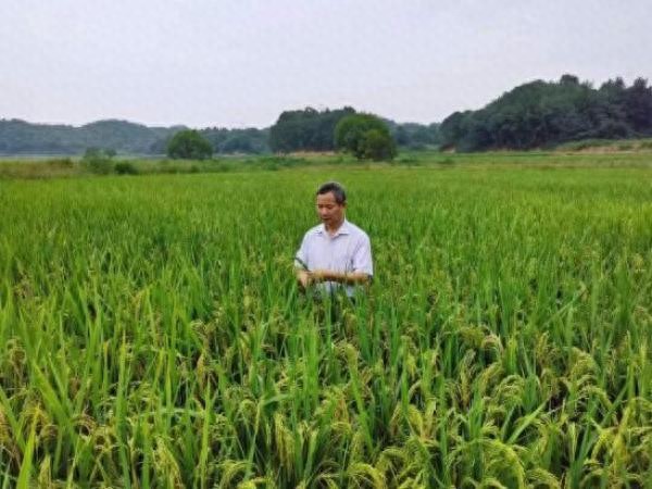 农业生态学研究方法_农业生态学课程_应用生态学报主页