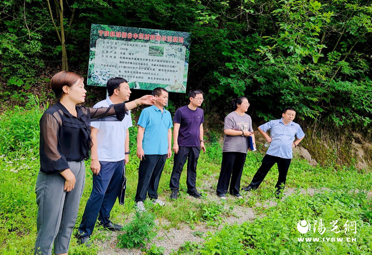 宁陕县521林业科技示范工程_林业重点生态工程_安康市生态护林员管理