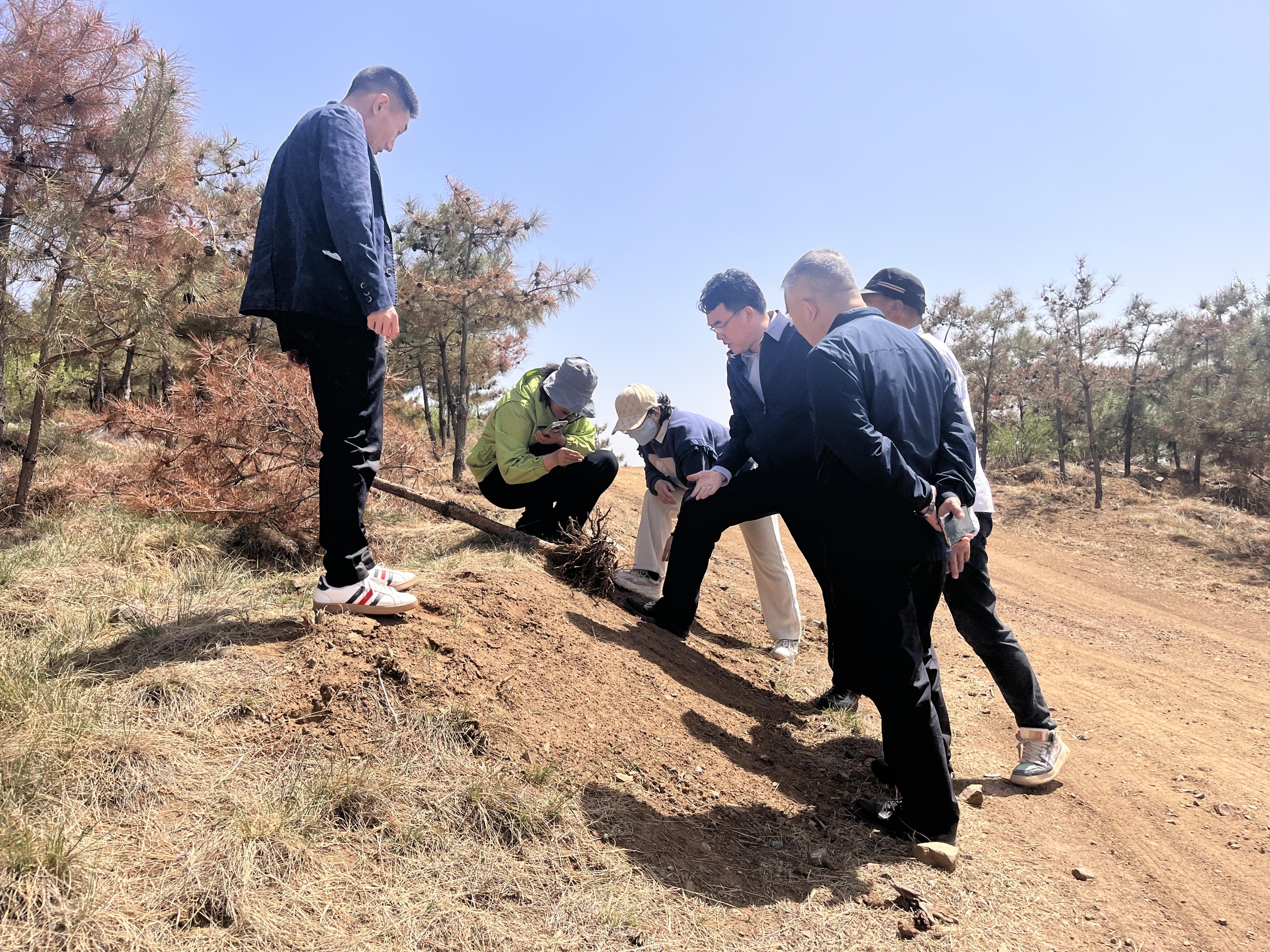 包头市林业体检_包头市三北工程绿化质量提升_林业重点生态工程