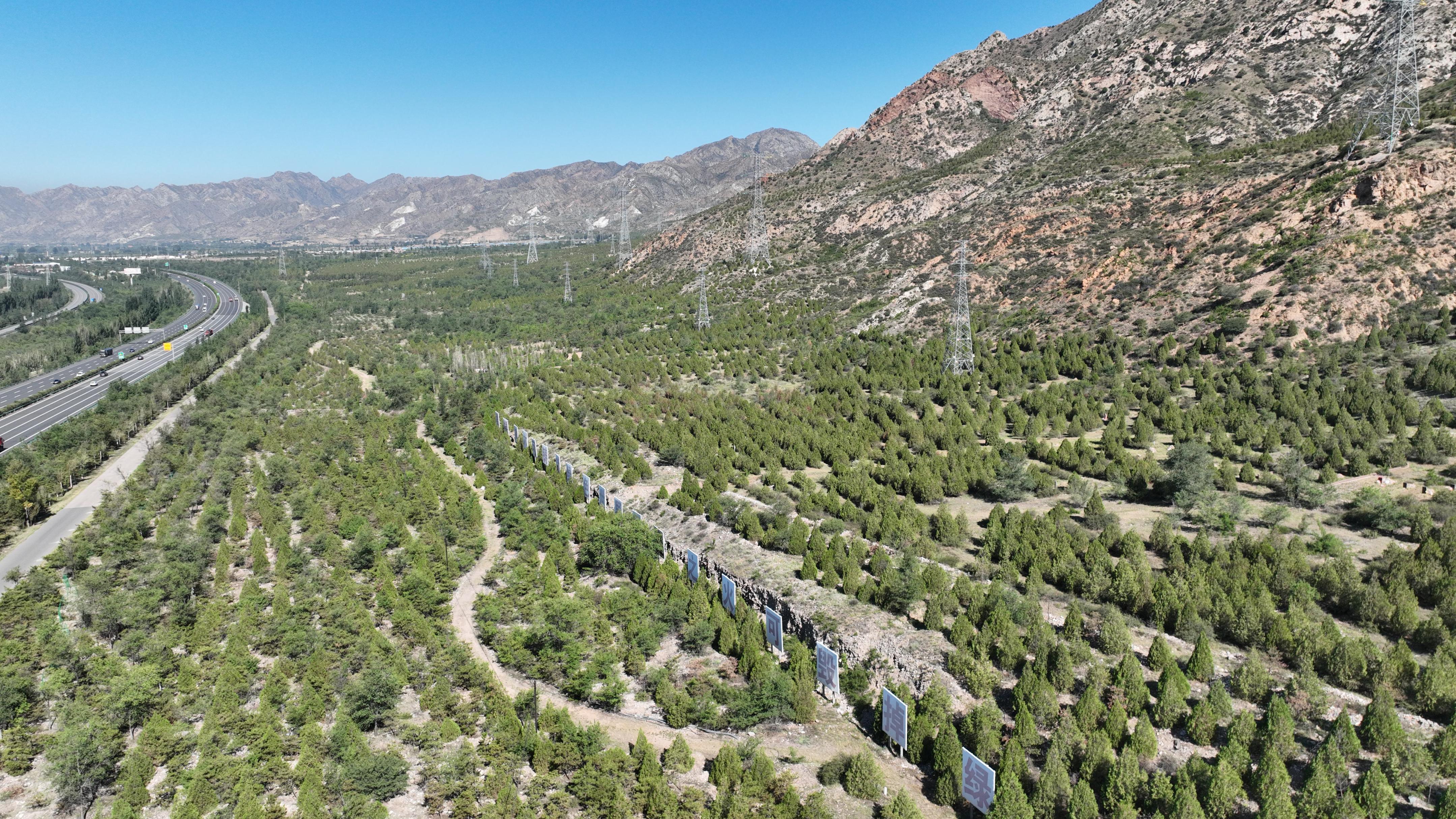 包头市三北工程绿化质量提升_包头市林业体检_林业重点生态工程