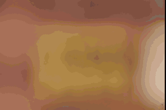 电子与信息工程学院优秀学生暑期学校申请条件_同济大学2026推免名单_同济大学电子与信息工程学院优秀学生暑期学校