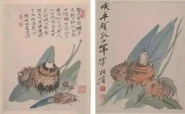 张大千仿作_张大千仿石涛水平_张大千书法 伪作