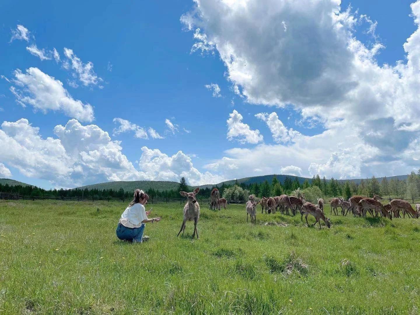 呼伦贝尔生态环境规划问题_呼伦贝尔出游行李清单_呼伦贝尔自由行攻略