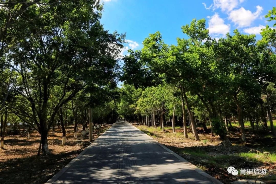 莆田白塘湖公园_白塘湖莆田二十四景_白塘湖天然淡水湖