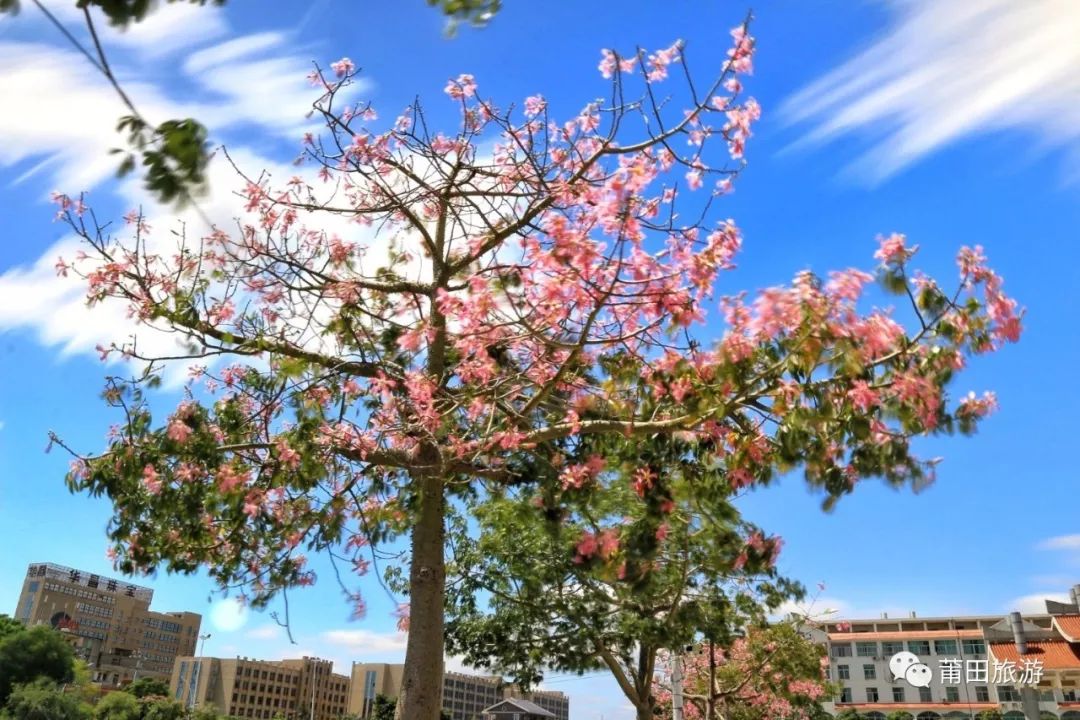 白塘湖天然淡水湖_白塘湖莆田二十四景_莆田白塘湖公园