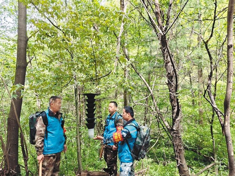 如何理解浐灞生态区的雾霾问题_西安智慧环保监测系统_西安科技治污