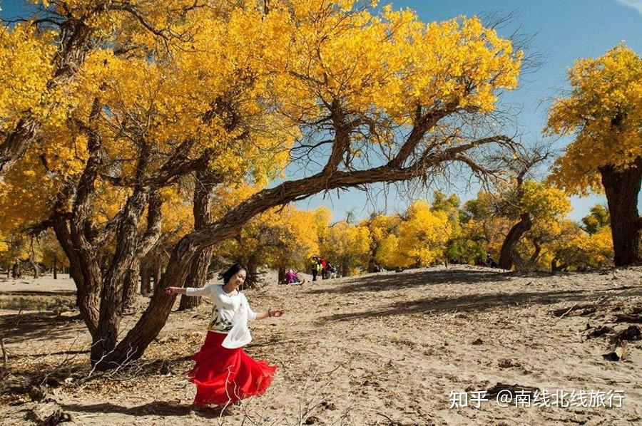 新疆生态环境保护规划_新疆南北疆旅游路线_新疆南北疆景点推荐
