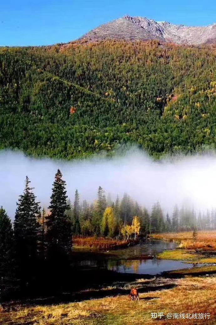 新疆生态环境保护规划_新疆南北疆景点推荐_新疆南北疆旅游路线