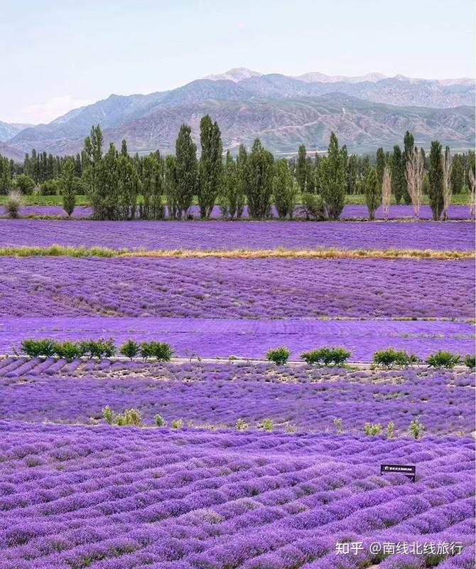 新疆生态环境保护规划_新疆南北疆旅游路线_新疆南北疆景点推荐