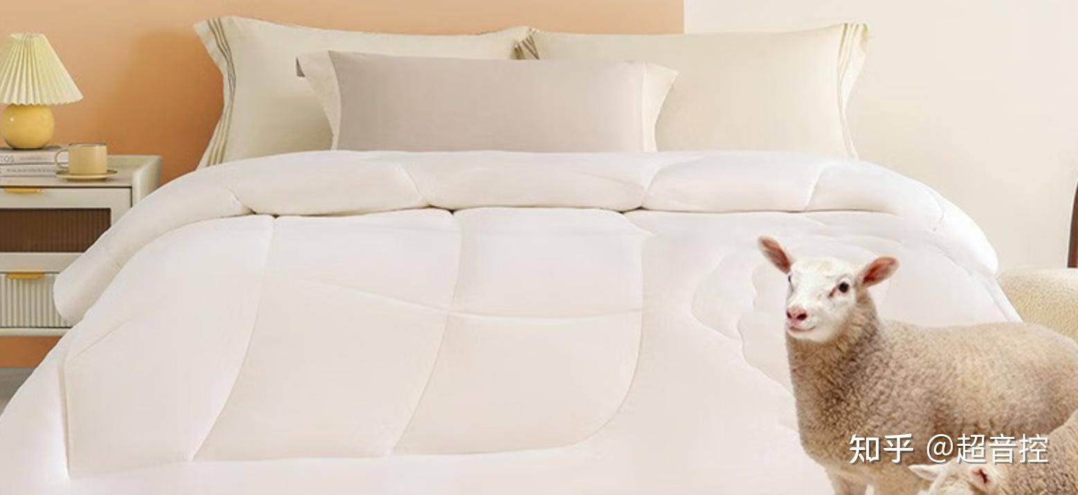 羊毛被选购攻略_羊毛衫要怎么收纳省空间_羊毛被品牌推荐