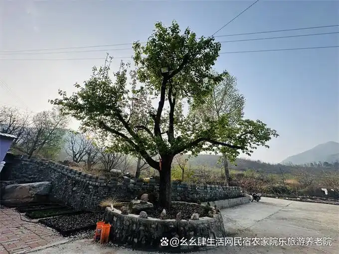 承德兴隆花市村慧立山庄_承德农家院哪家好_兴隆县青松岭镇花市村农家院