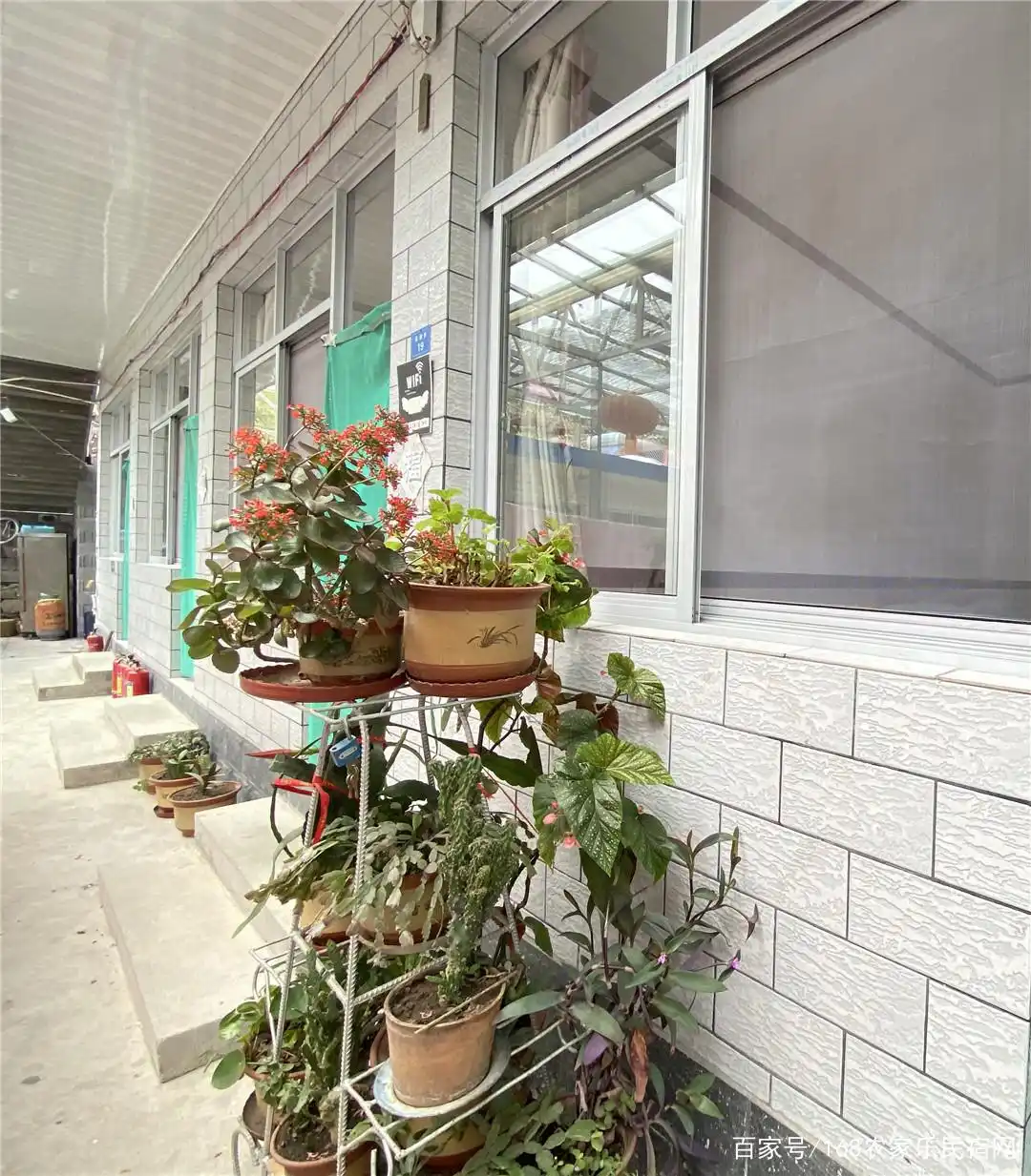 河北省承德市兴隆县青松岭镇花市_兴隆县花市村农家院_承德农家院哪家好