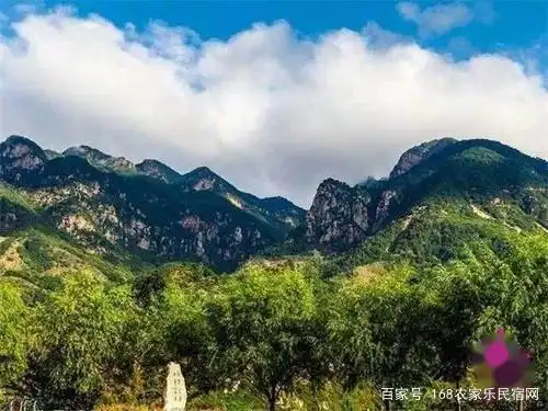 河北省承德市兴隆县青松岭镇花市_兴隆县花市村农家院_承德农家院哪家好