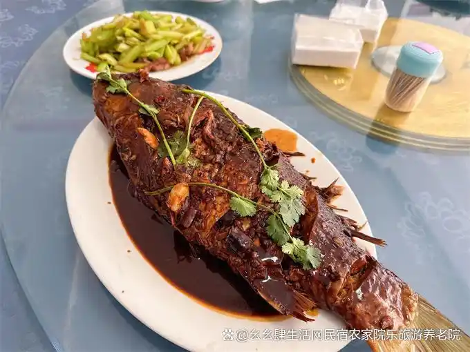 承德隆化七家温泉农家院_承德农家院哪家好_隆化明旭温泉农家院