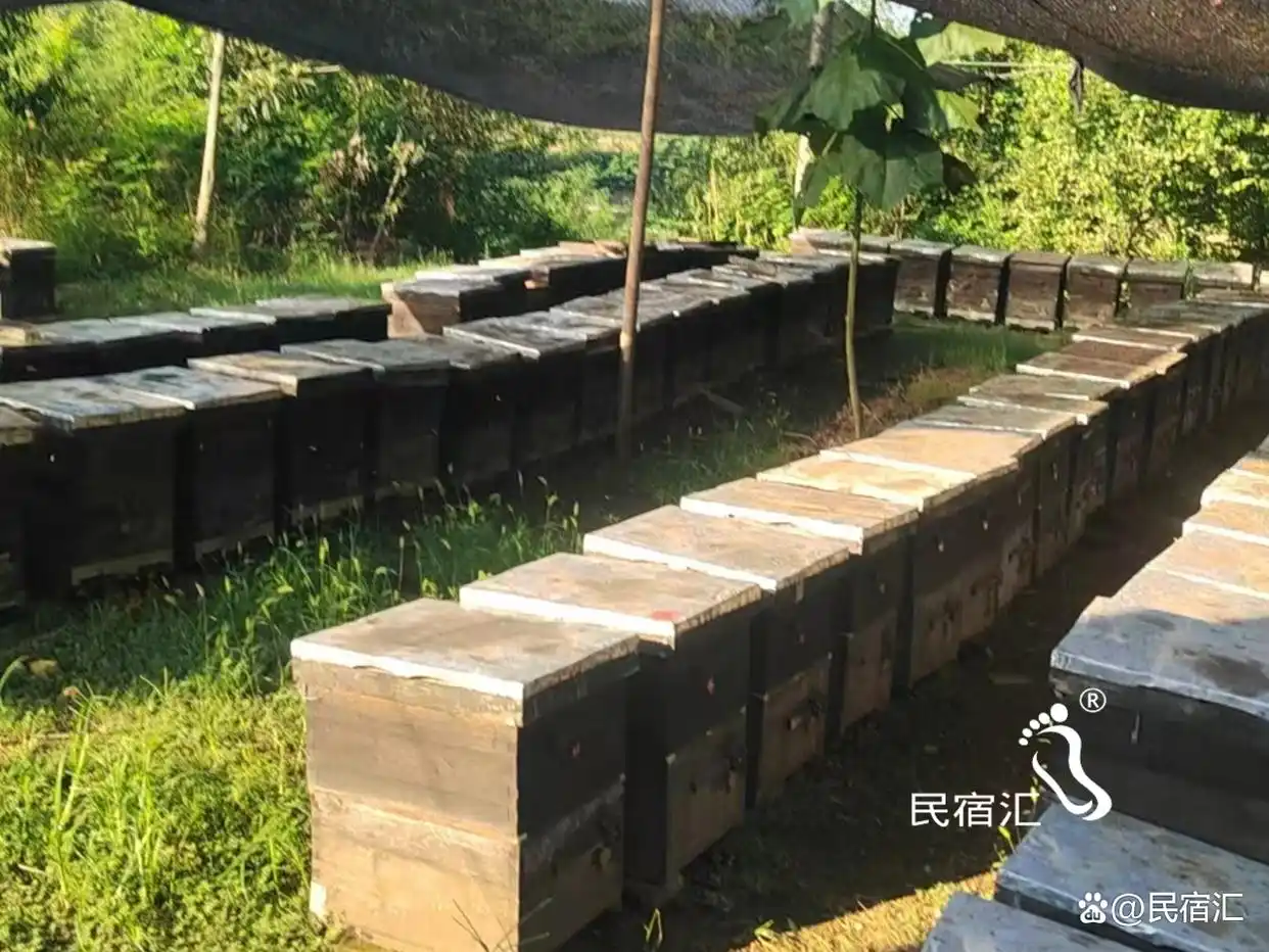 河北承德金山岭长城红山楂农家院_承德农家院哪家好_金山岭长城住宿攻略