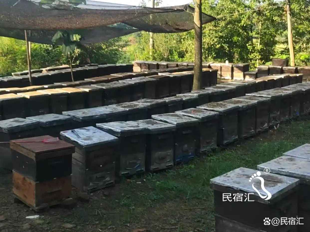 金山岭长城住宿攻略_河北承德金山岭长城红山楂农家院_承德农家院哪家好