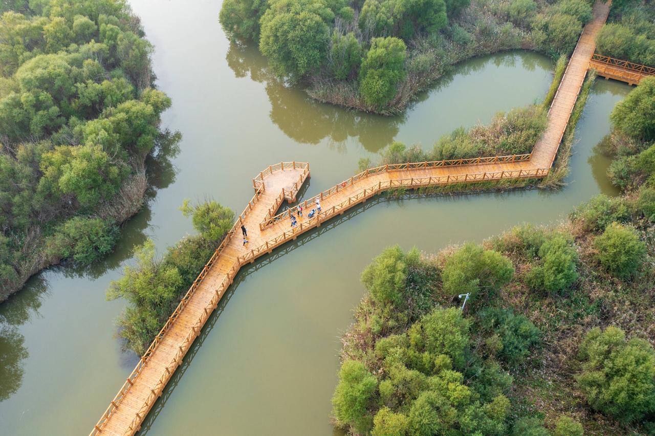 黄河口生态旅游区门票团购_山东景区门票折扣_山东旅游优惠活动